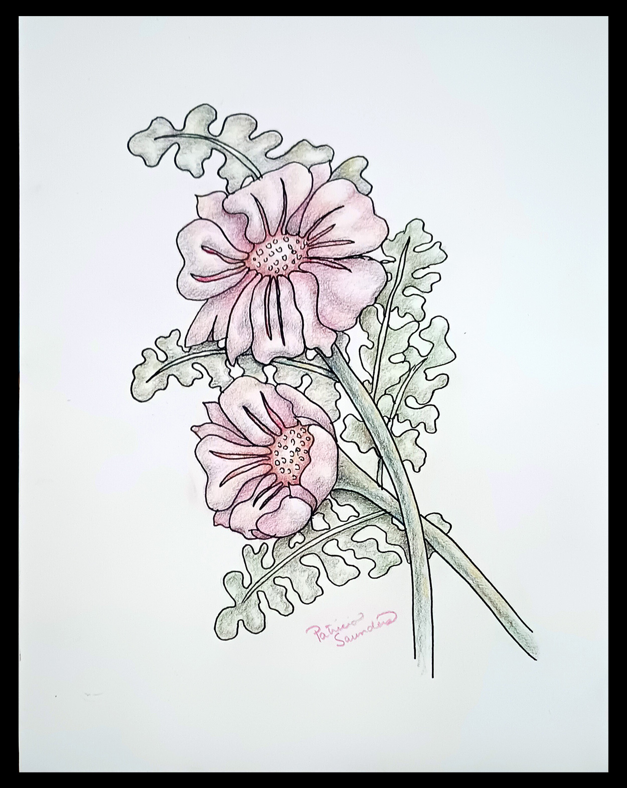 Soft Flowers
